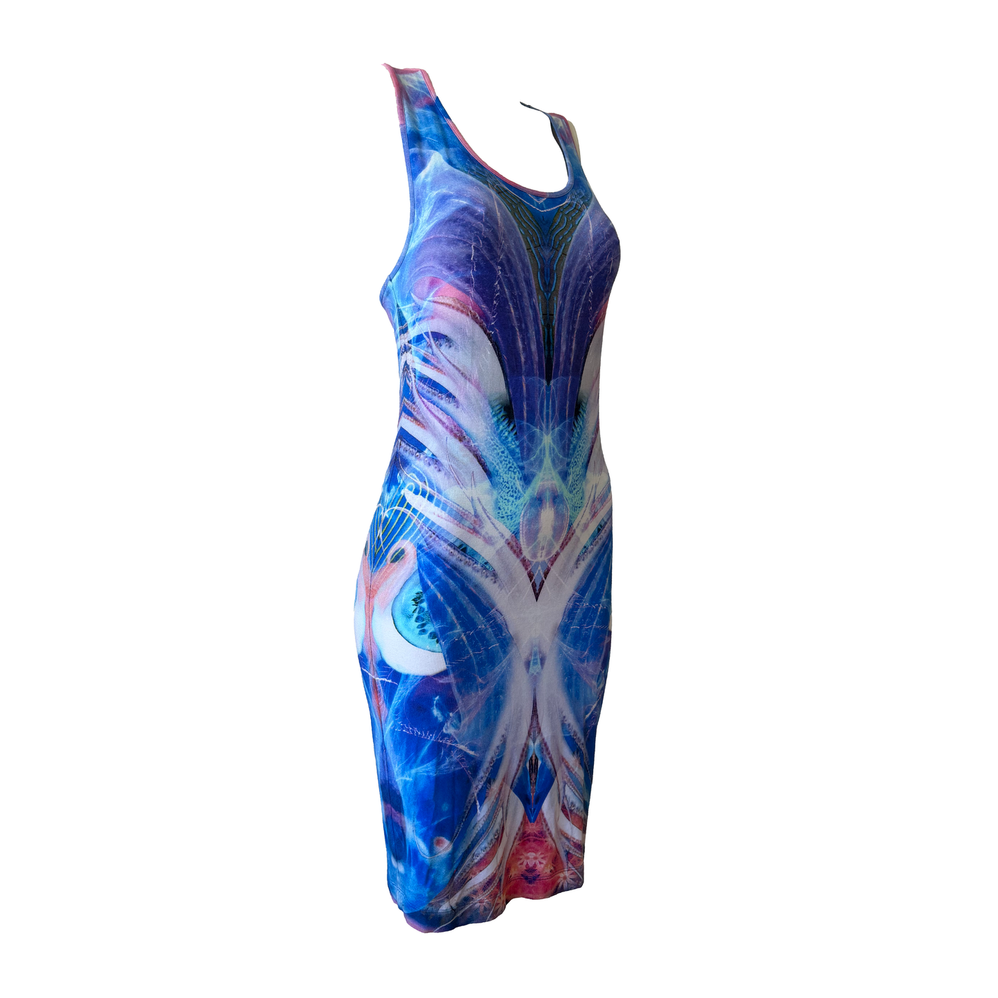 Alexander McQueen SS 2010 “Plato’s Atlantis” Dress