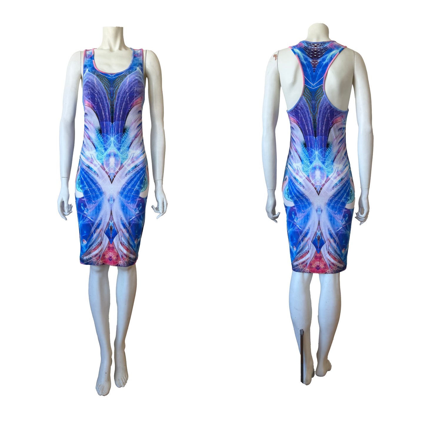 Alexander McQueen SS 2010 “Plato’s Atlantis” Dress