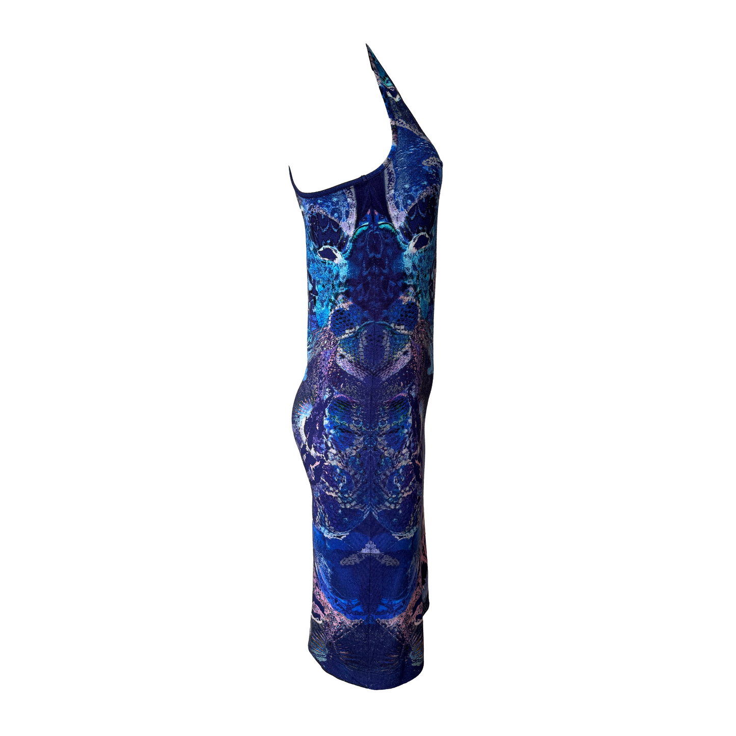 Alexander McQueen SS 2010 “Plato’s Atlantis” Dress