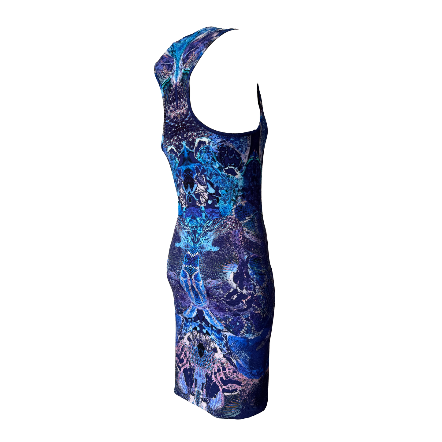 Alexander McQueen SS 2010 “Plato’s Atlantis” Dress