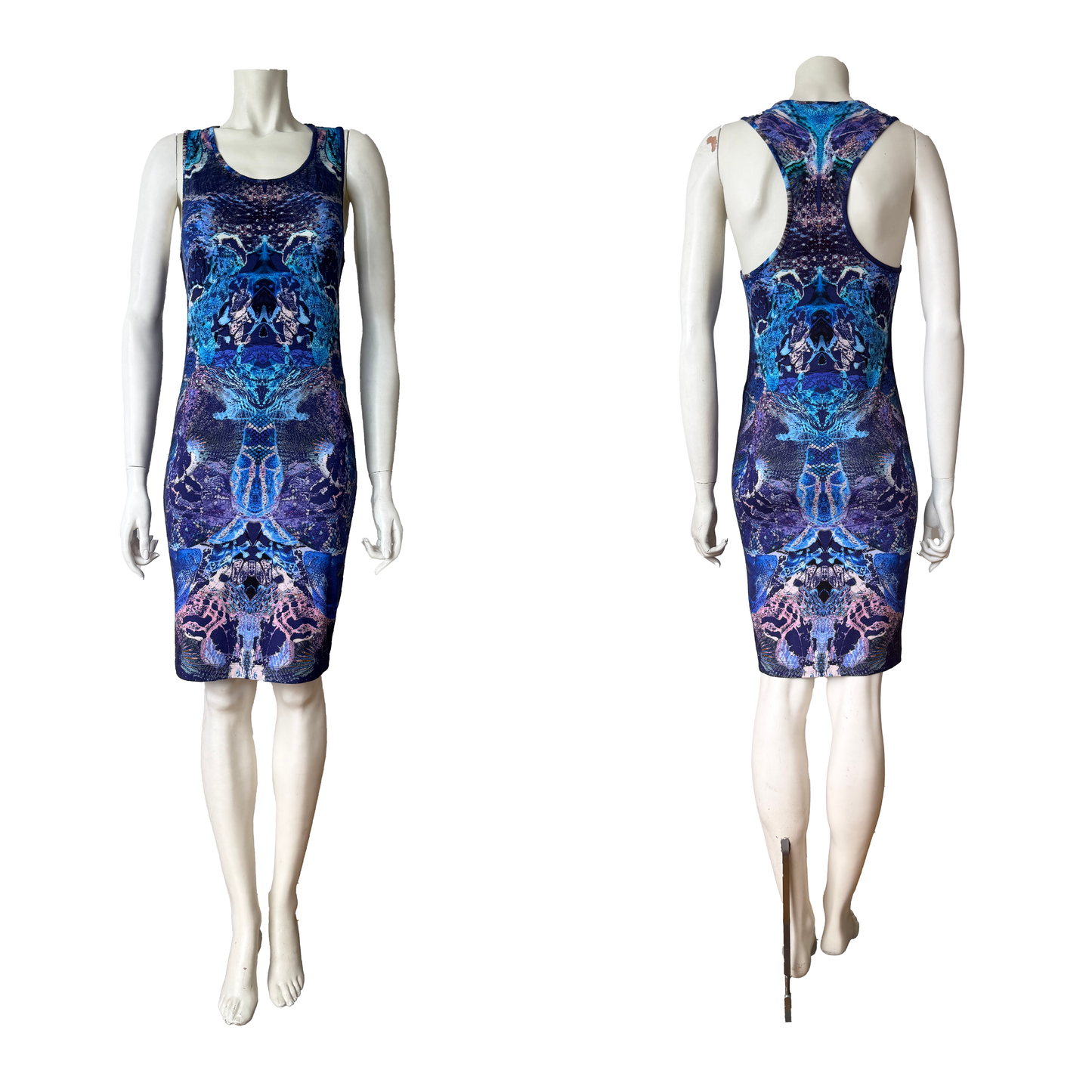 Alexander McQueen SS 2010 “Plato’s Atlantis” Dress
